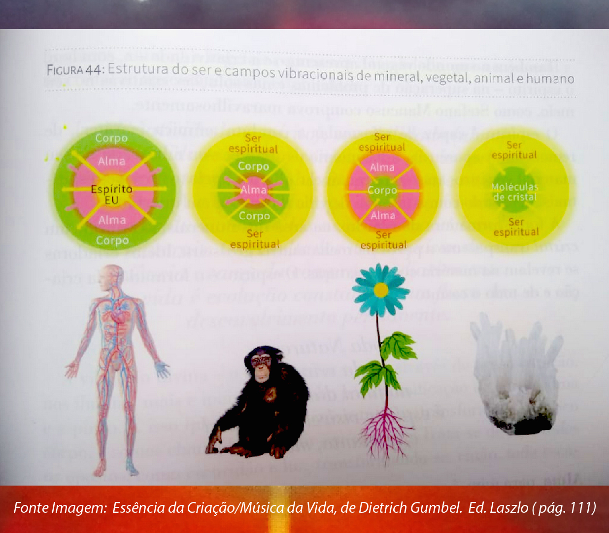 Diagrama Livro Dietrich